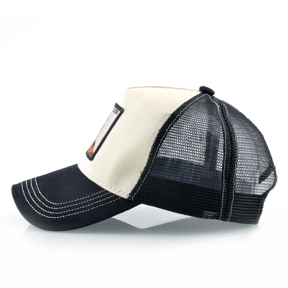 Gorra de béisbol de Hip Hop co - Streetwear Brand Beanie reseña y precio
